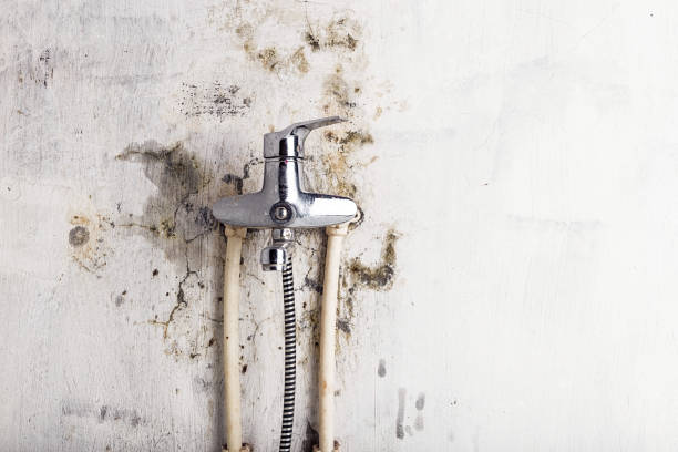 Best Water Damage Restoration  in Walhalla, SC