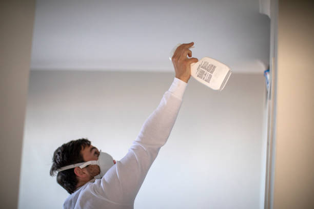 Best Same-Day Mold Removal  in Walhalla, SC