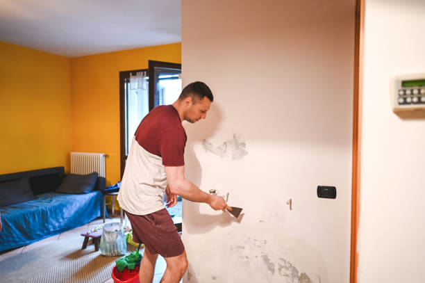 Best Same-Day Mold Removal  in Walhalla, SC